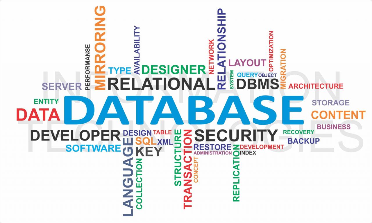 Advantages of having a database management system in an organization