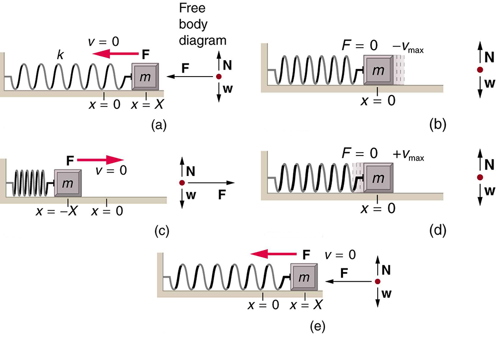 An object-spring system moving with simple harmonic motion