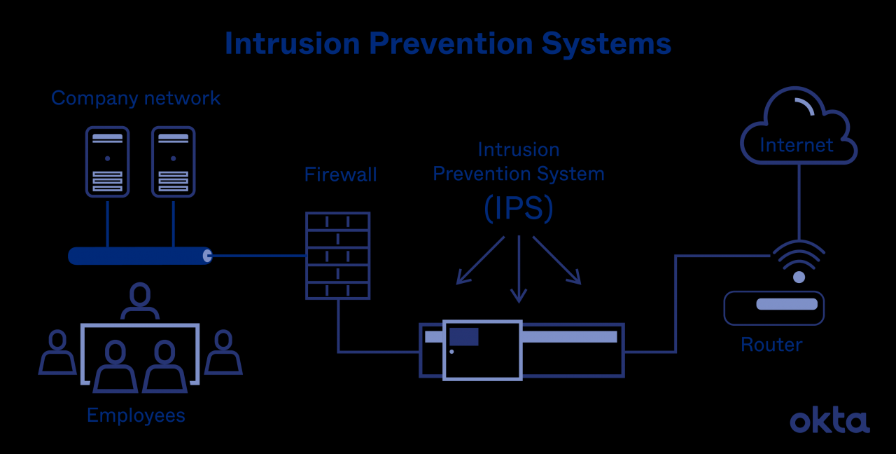 An intrusion detection system cannot prevent dos attacks