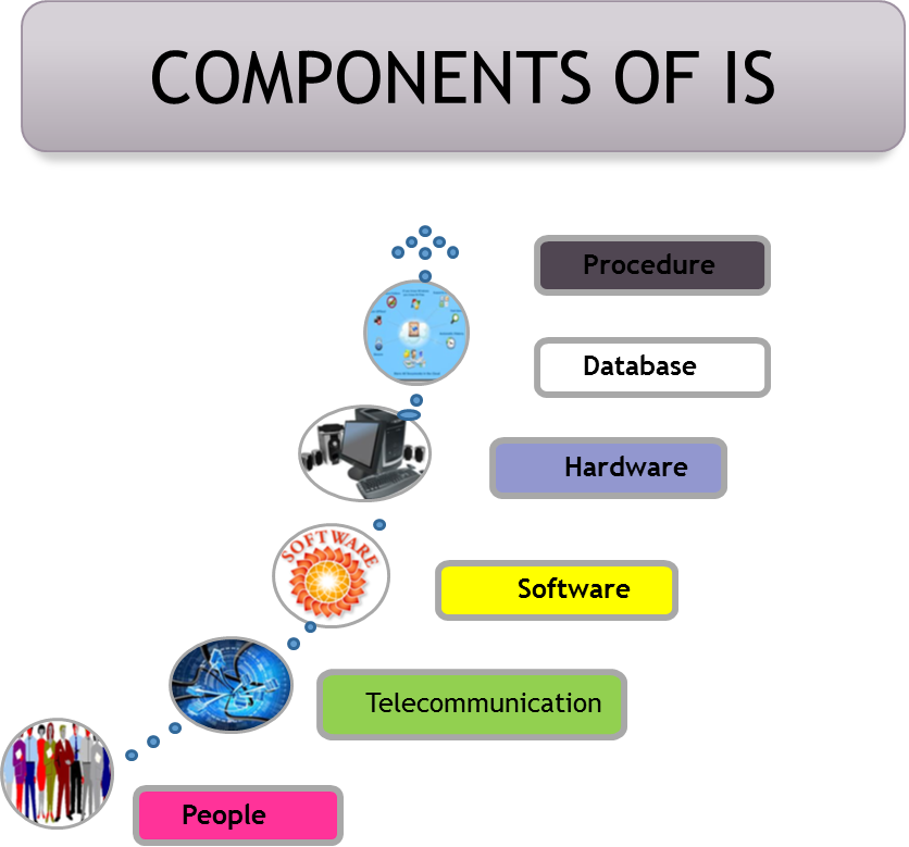5 components of an information system