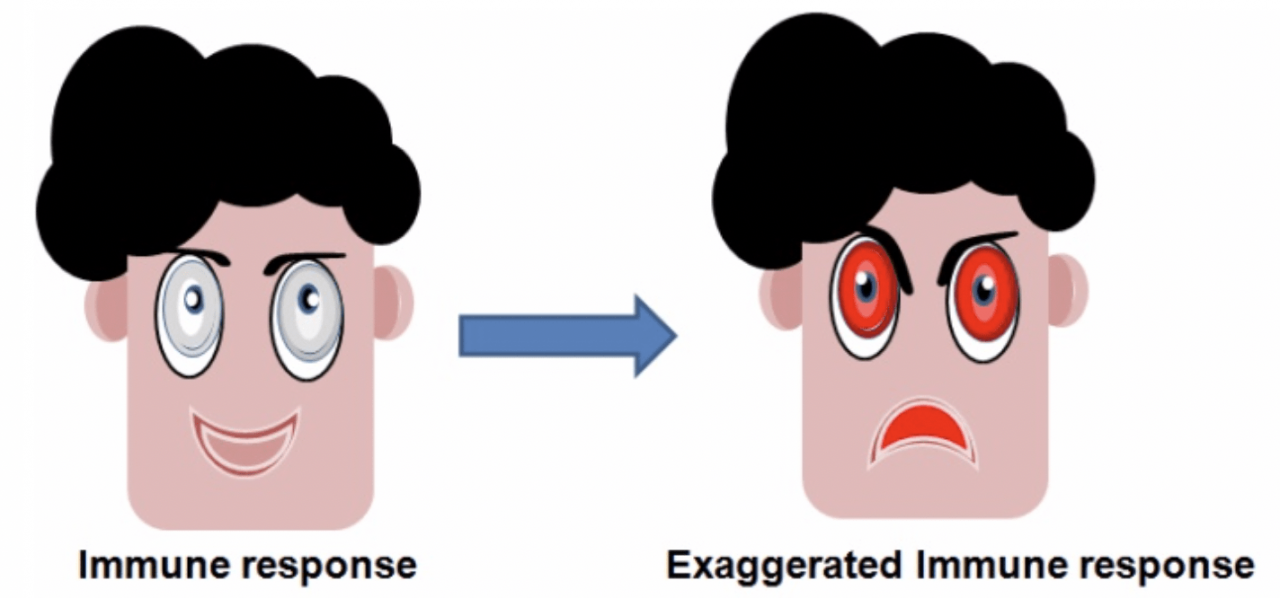 An exaggerated response by the immune system