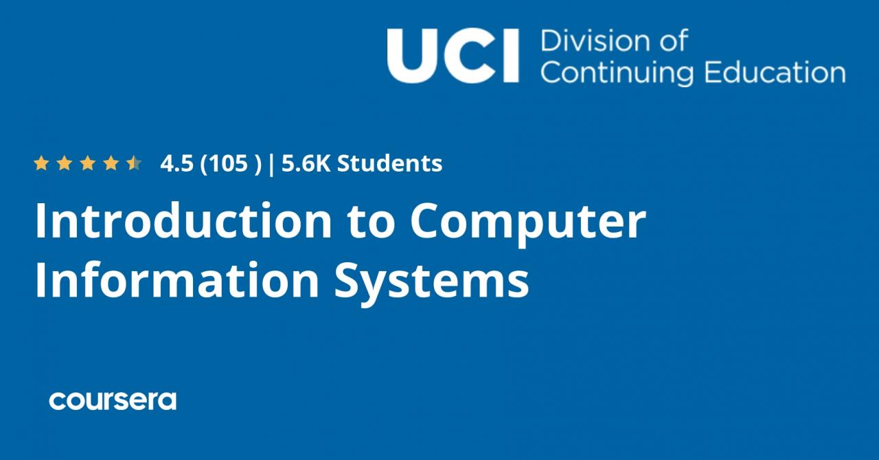 An introduction to information systems