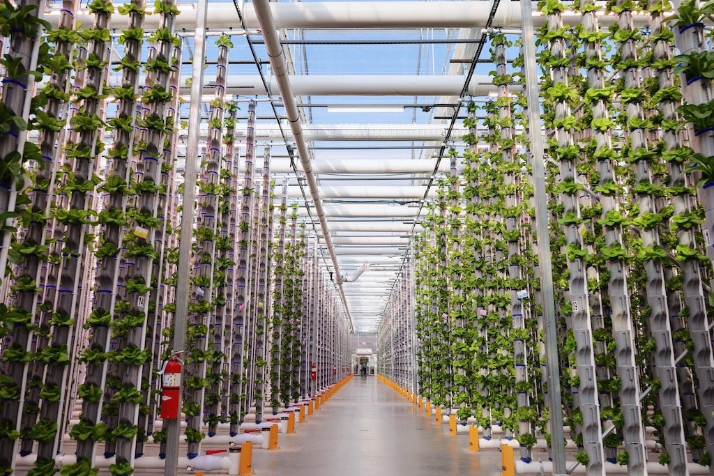 An indoor vertical farming system for efficient quality food production