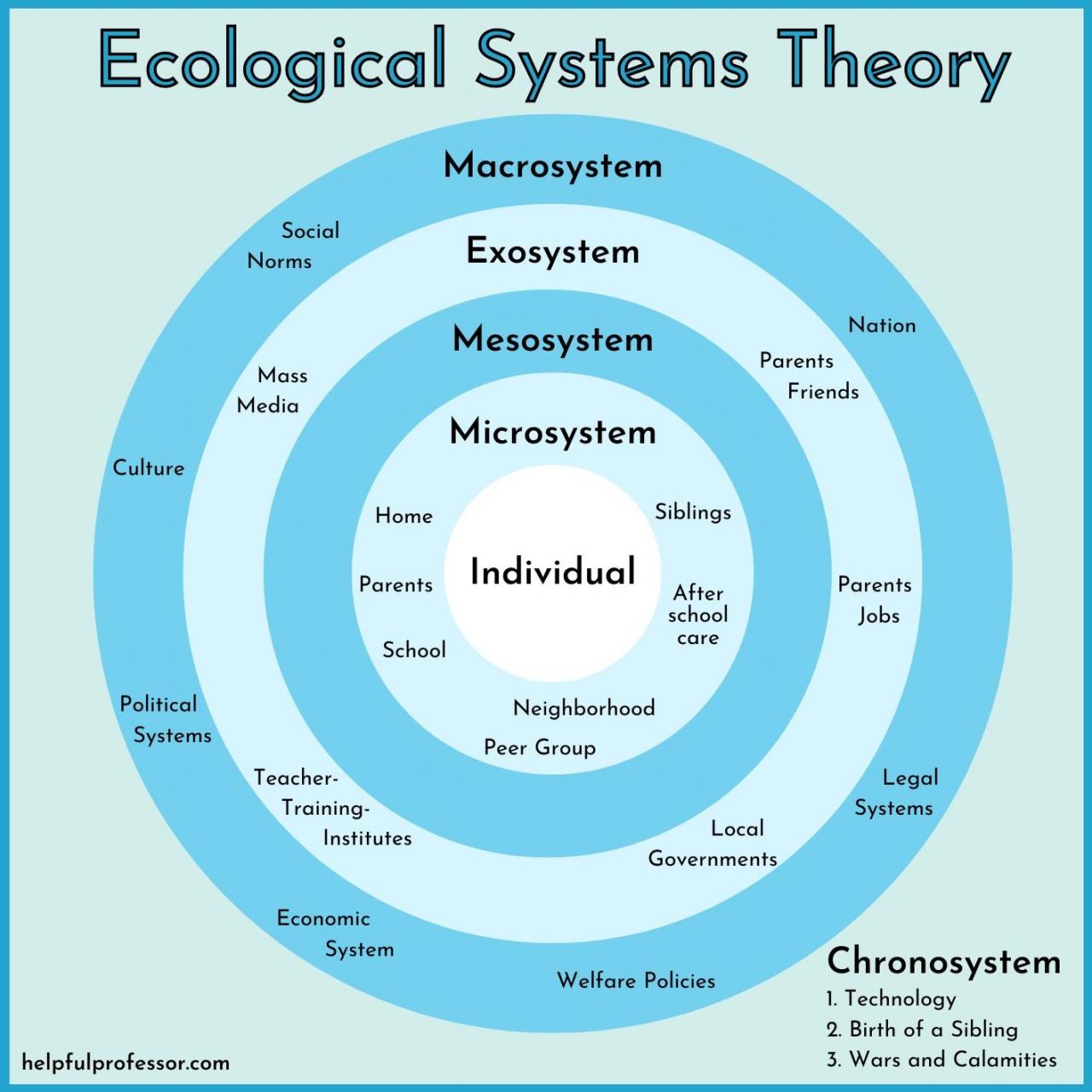 A systems analysis of an ecosystem could involve