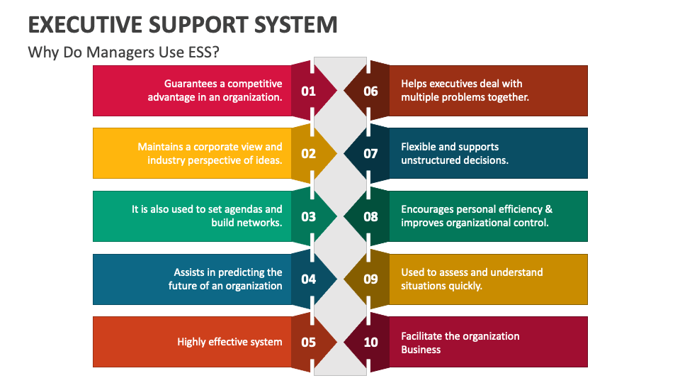 An executive support system