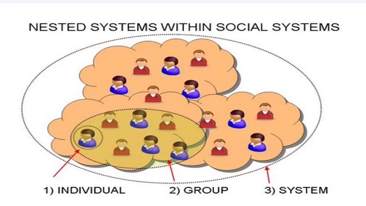 An organization is a social system