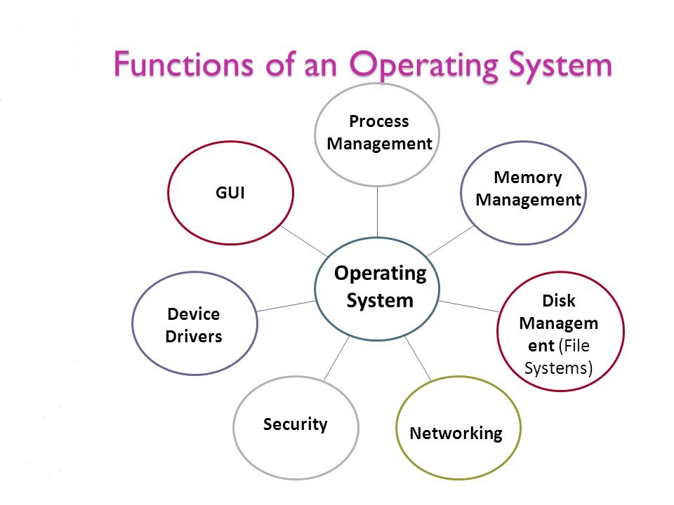 A computer can function without an operating system.